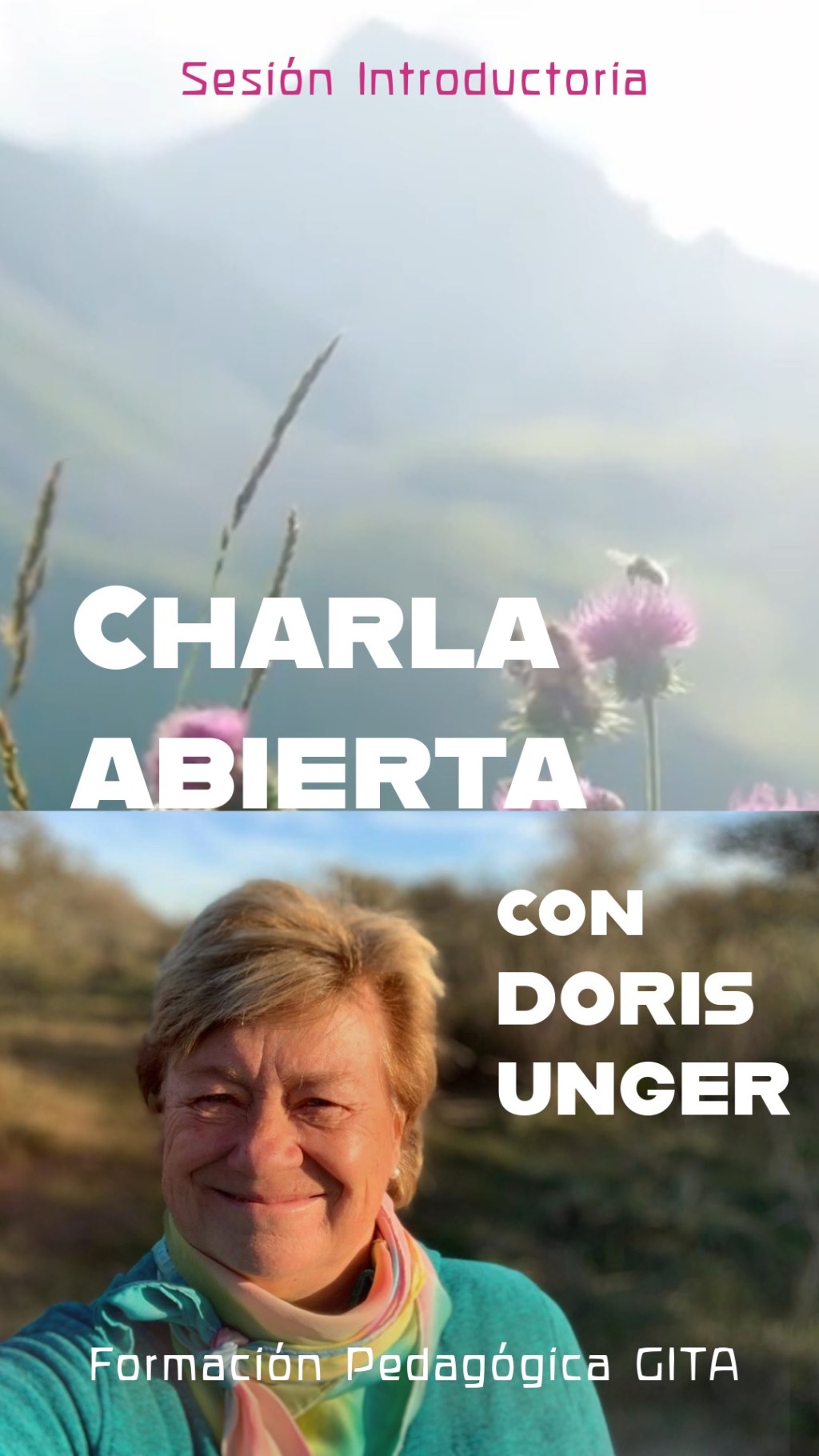 EDUCAR PARA SANAR: Visión Formativa del Programa&nbsp;GITA