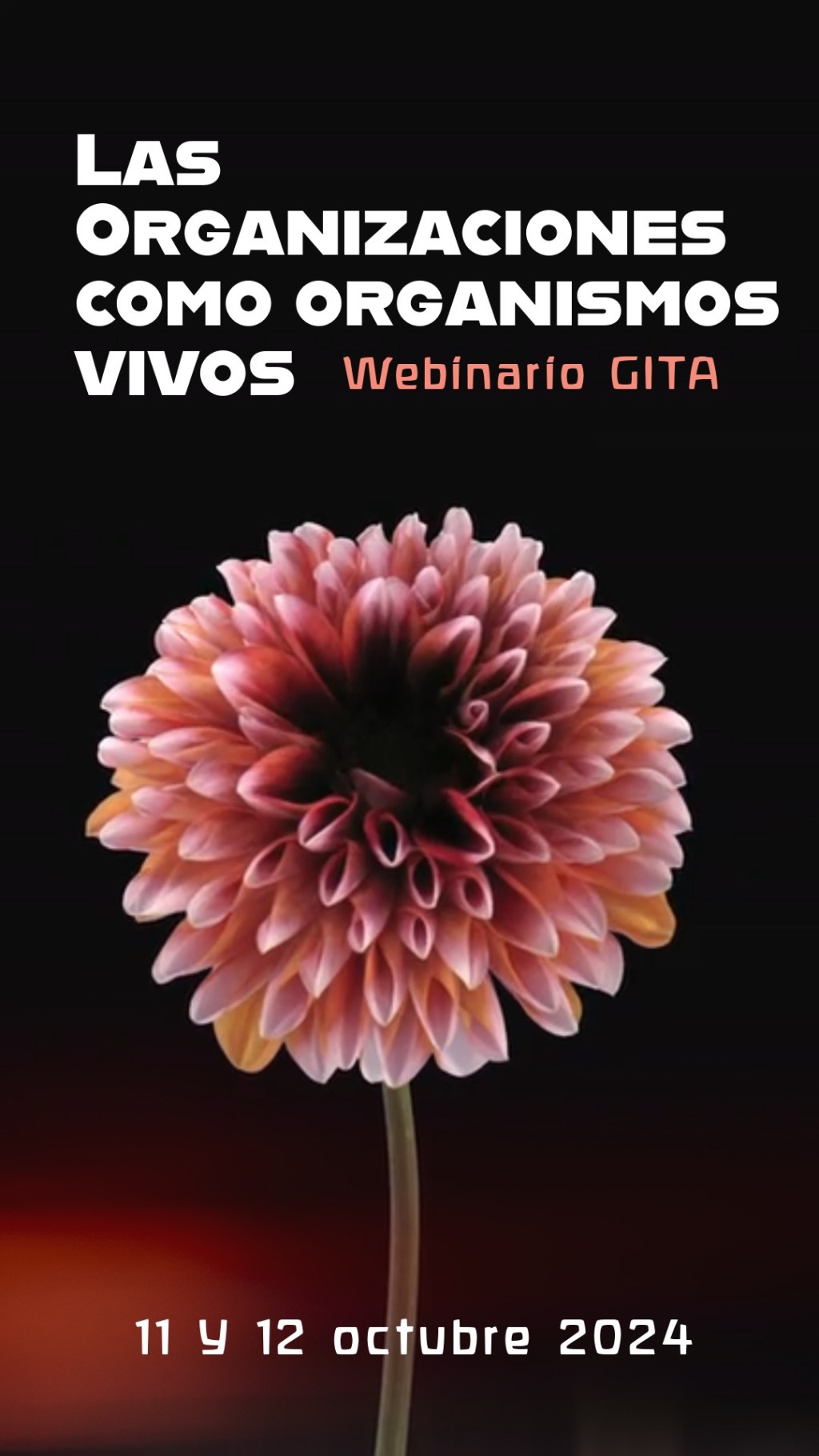 Transformación Social: Las organizaciones como organismos&nbsp;vivos