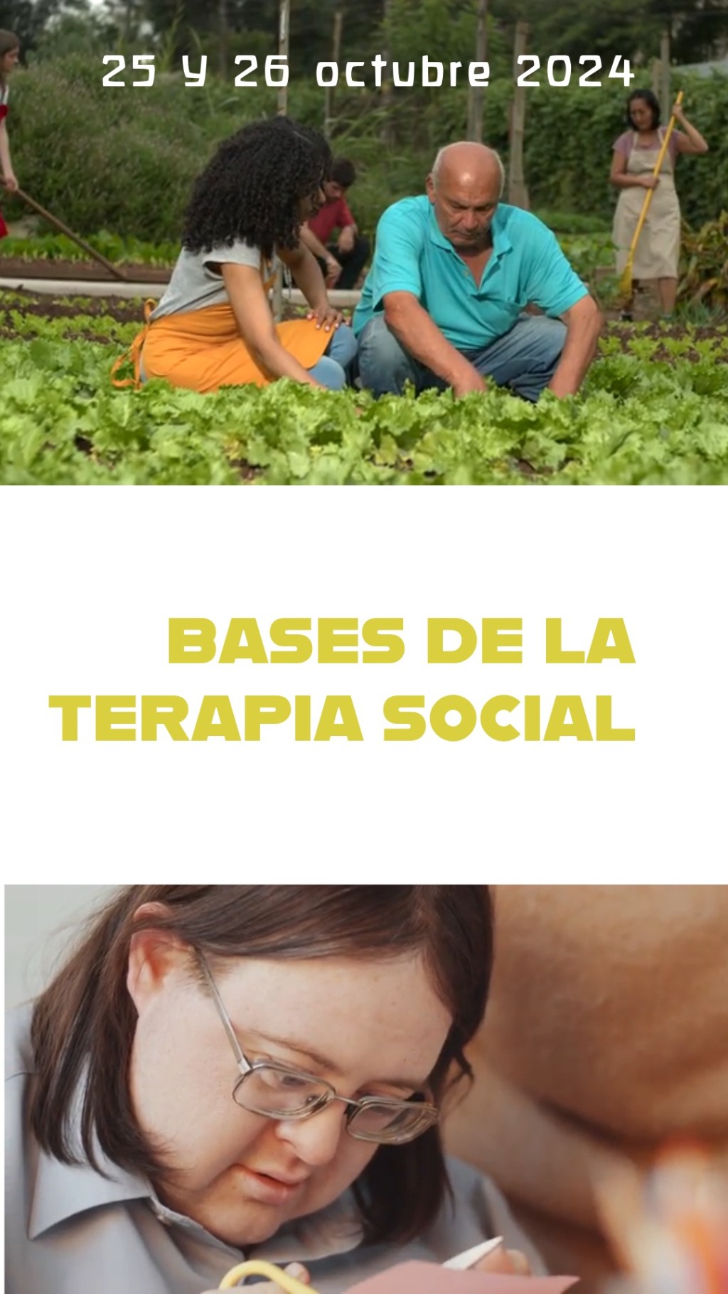 Explorando la Terapia Social: Claves y&nbsp;Desarrollo