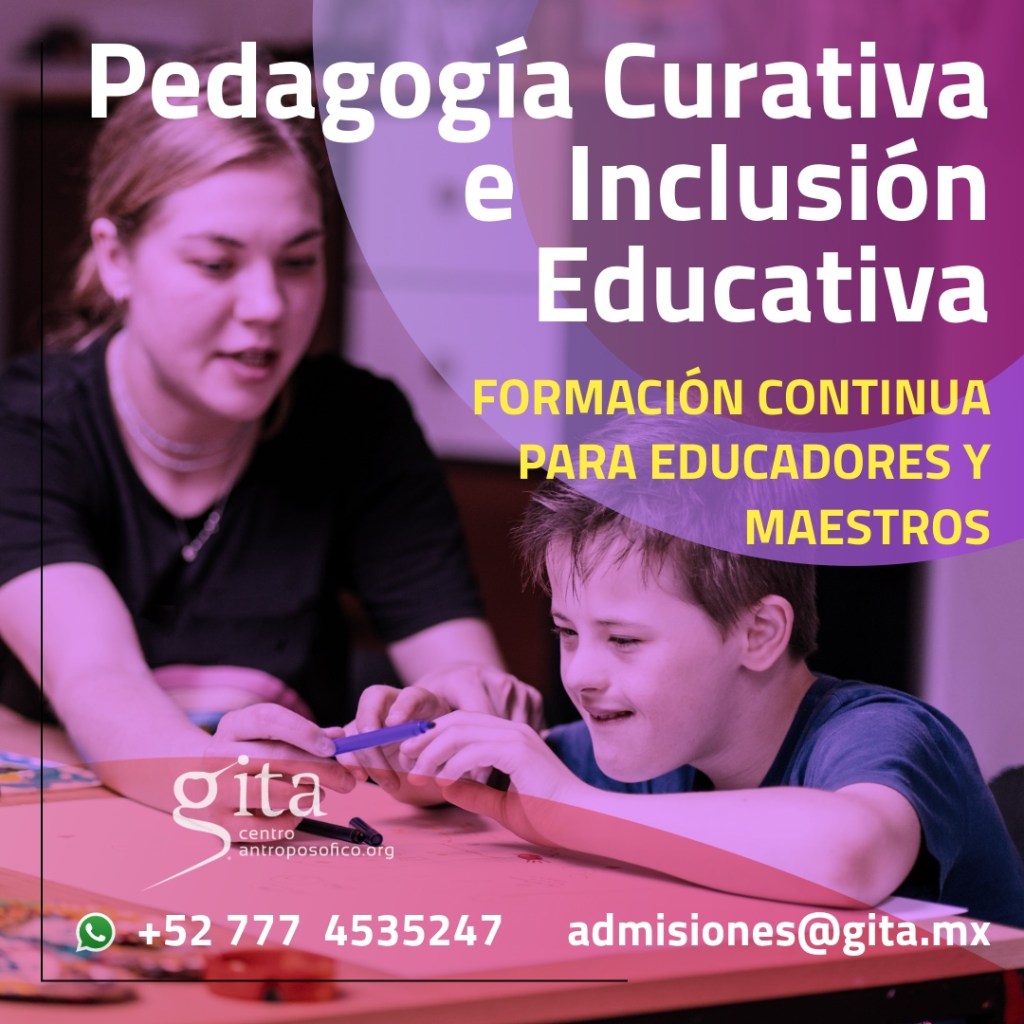 Fortalecimiento de la práctica docente y la inclusión&nbsp;educativa.